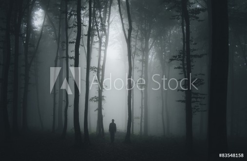 Picture of Spooky halloween scene with man in dark forest